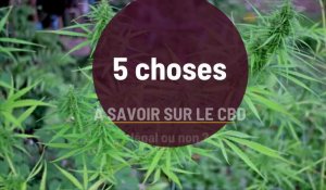 Cinq choses à savoir sur le CBD