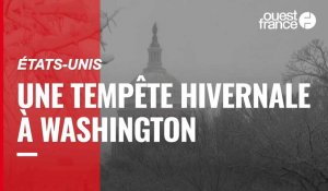 VIDÉO. Aux États-Unis, une tempête de neige s'abat sur Washington et sa région