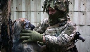 Ukraine: sur le front, chats et chiens remontent le moral des soldats