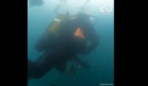 En immersion sous la glace avec les plongeurs de la gendarmerie de Martigues