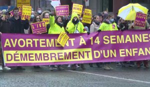 Paris: manifestation contre l'allongement de la durée légale de l'avortement