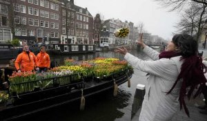 Pays-Bas : distribution gratuite de bouquets pour la journée nationale de la tulipe