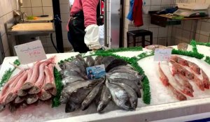 A Boulogne, on fait le plein de poissons aux aubettes