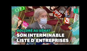 Bolloré au Sénat: cet élu a mis 5 minutes pour lister ses activités