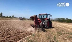 VIDÉO. Le comice agricole Luché-Pringé en Sarthe de retour après deux ans d'absence