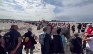 Route du poisson : une épreuve de traction organisée à la plage de Boulogne ce jeudi