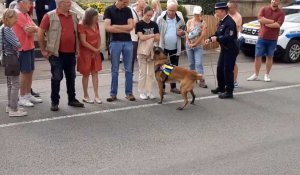 Démonstration de Novak à la cérémonie en hommage aux chiens de Neufchâtel-Hardelot