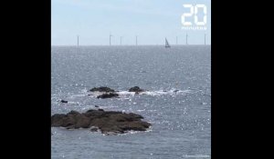 Au large de la Loire-Atlantique, les éoliennes en mer se voient beaucoup plus que prévu