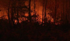 Gironde: 400 hectares brûlés et un bourg évacué dans un incendie en cours