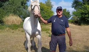A Oudezeele, Régis Denaes, trois fois champion de la Route du Poisson, nous parle de son cheval, Colimaçon, et de la course de chevaux de trait.