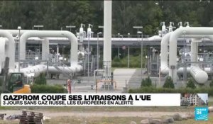 La Russie suspend ses livraisons de gaz à l'Europe : une "arme de guerre" pour Paris