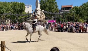 spectacle équestre sur l'Esplanade de Nîmes pendant la feria vendanges