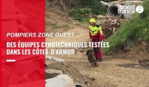 Pompiers : les équipes cynotechniques testées dans les Côtes-d'Armor