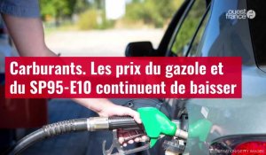 VIDÉO. Carburants. Les prix du gazole et du SP95-E10 continuent de baisser