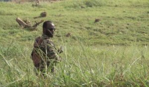 RDC: une trentaine de morts en 2 jours en Ituri, les ADF soupçonnés