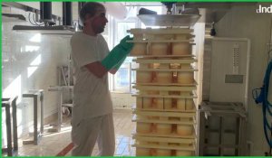 Les secrets de fabrication du fromage du Mont des Cats