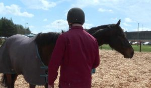 En Irlande, les prisonniers murmurent à l'oreille des chevaux