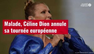 VIDÉO. Malade, Céline Dion annule sa tournée européenne