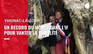 Dans les Côtes-d'Armor, trente élus rentrent dans le cœur d'un arbre