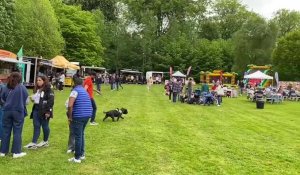 Food trucks festival à Wervicq-Sud