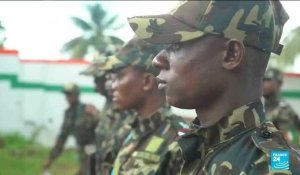 En Côte d'Ivoire, une "armée verte" contre la déforestation