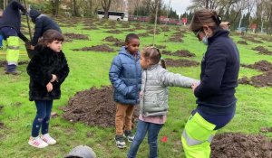 Plantation d'arbres par les écoliers nîmois.