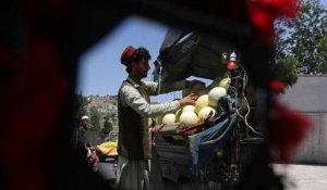 L'Afghanistan face à la famine cet hiver