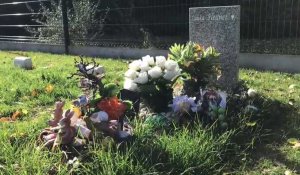 Trente-cinq sépultures au cimetière pour animaux de Biache-Saint-Vaast