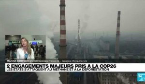 COP26 : 80 pays s'engagent pour réduire la déforestation et le méthane