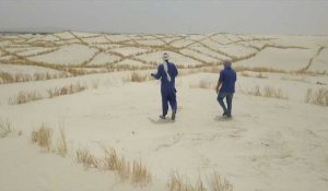 Mali: le désert engloutit le lac Faguibine, la population poussée à l’exode
