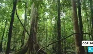 COP26 : un engagement sur la déforestation dès l'ouverture de la conférence