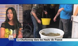 Le Charbonnay dans les Hauts-de-France