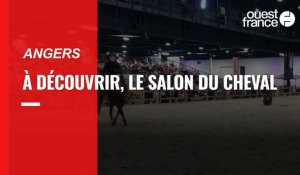 VIDÉO. La 5e édition du salon du Cheval est de retour au parc des expositions, à Angers 