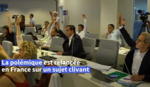 France: Grenoble autorise le port du burkini dans les piscines publiques