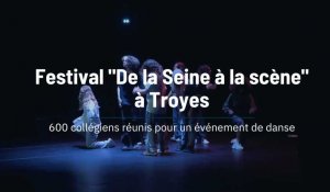 Festival "De la Seine à la scène" à Troyes