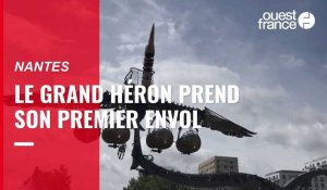 VIDEO. À Nantes, le grand Héron de la compagnie la Machine a réussi son premier vol