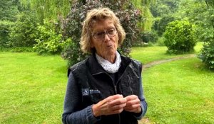 Elnes disparition des nids d'hirondelles reacrion de Christine Dupuis (LPO)