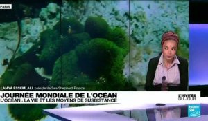 Journée mondiale de l'océan : "Si l'océan meurt, nous mourrons tous"