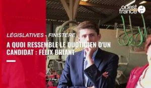VIDÉO. Ferme, réunion, marché... On a suivi Félix Briant, candidat aux législatives en Finistère