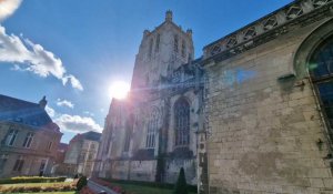 Un couple de faucons pèlerins a installé son nid sur la cathédrale de Saint-Omer