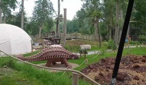 Le Dino Parc : un disco golf autour des dinosaures