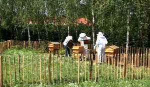Erquinghem-Lys. Avec ses abeilles, Ramery essaime ses projets liés à la préservation de l’environnement