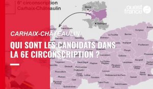 Legislatives : qui sont les candidats dans la circonscription de Carhaix-Châteaulin ?