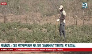 Sénégal : des entreprises belges combinent travail et social 