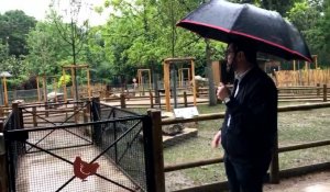 Mini ferme du zoo d’Amiens