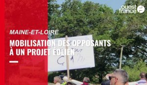 VIDÉO. Dans le Maine-et-Loire, une mobilisation contre un projet éolien