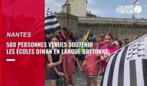VIDÉO. Défilé de soutien aux écoles Diwan en langue bretonne à Nantes