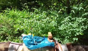 Un week-end de transhumance écologique avec des ânes dans le Dunkerquois