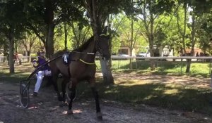 Dimanche de courses à l’hippodrome de Montier-en-Der