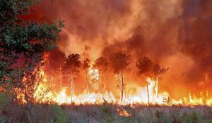 Les incendies continuent de ravager le sud-ouest de l'Europe